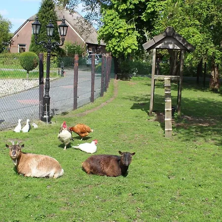 In Ons Bakhuis أبلدورن