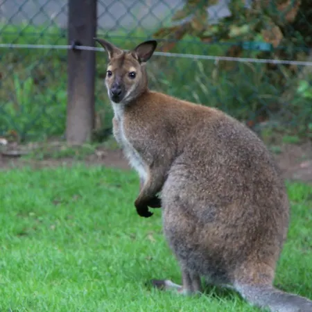 In Ons Bakhuis أبلدورن