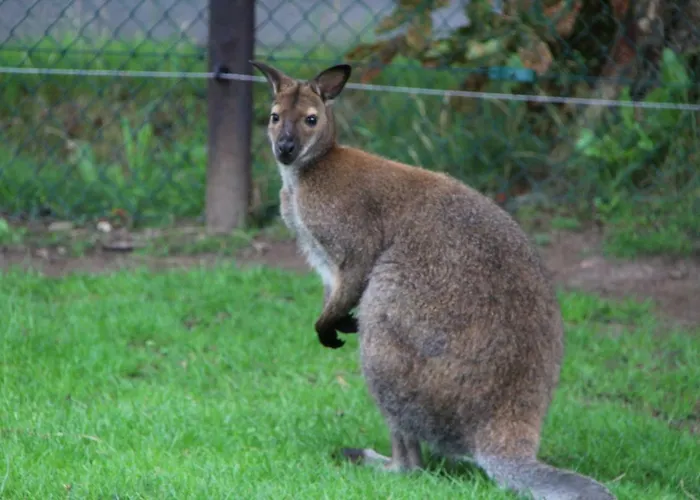 In Ons Bakhuis Apeldoorn
