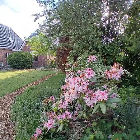 In Ons Bakhuis Bed and breakfast